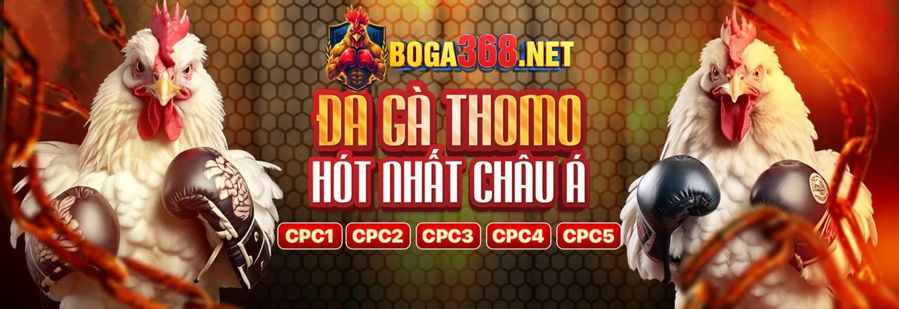 Đá Gà Trực Tuyến Hấp Dẫn tại 7ball app