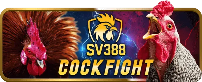 Hướng dẫn cá cược thể thao trên 7ball app